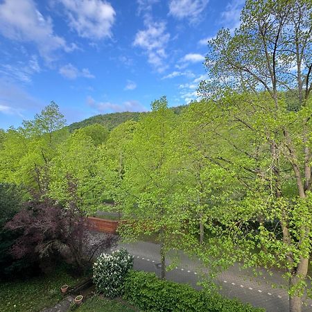 Apartment Villa Elisa Bad Kreuznach Zewnętrze zdjęcie