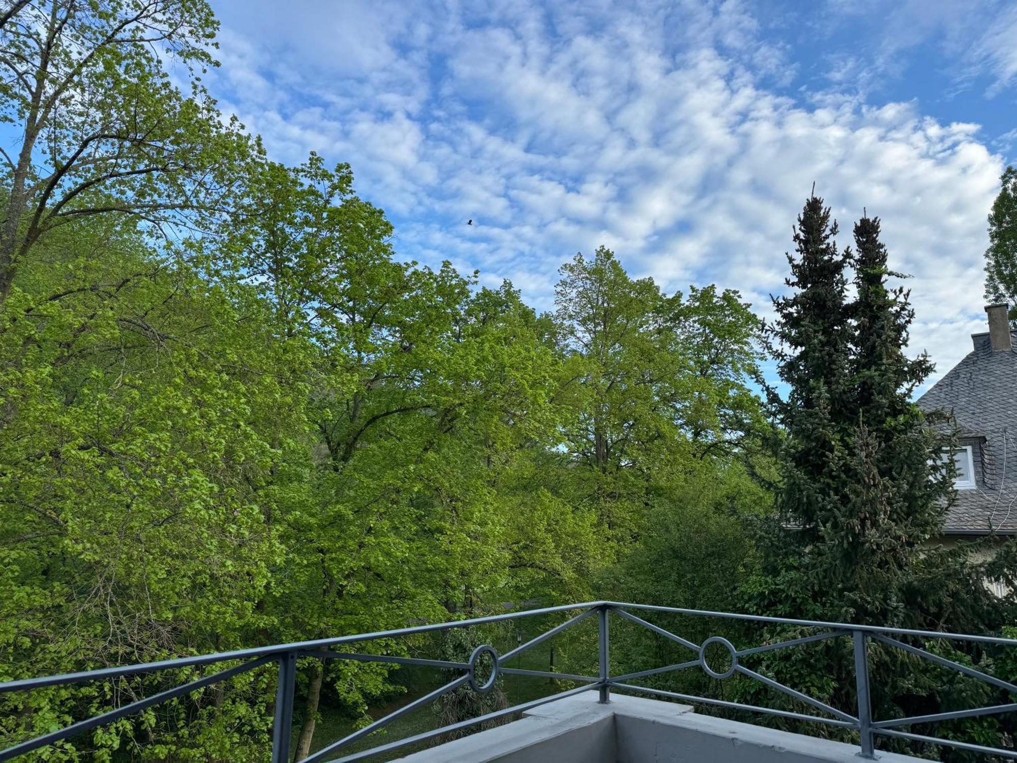 Apartment Villa Elisa Bad Kreuznach Zewnętrze zdjęcie